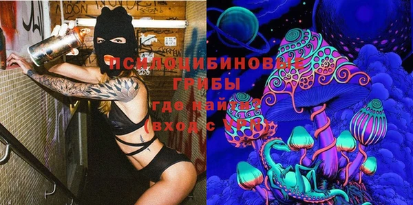 марки lsd Богданович